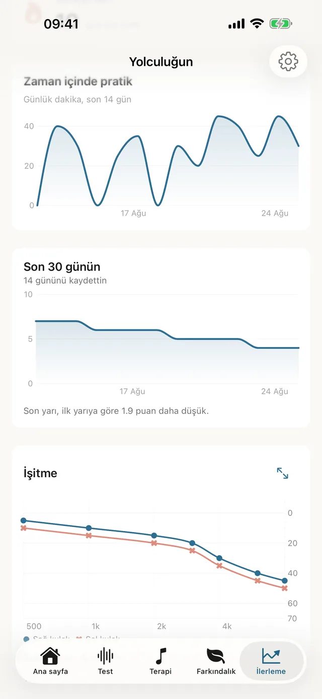 Tinnitus Haven işitme profili