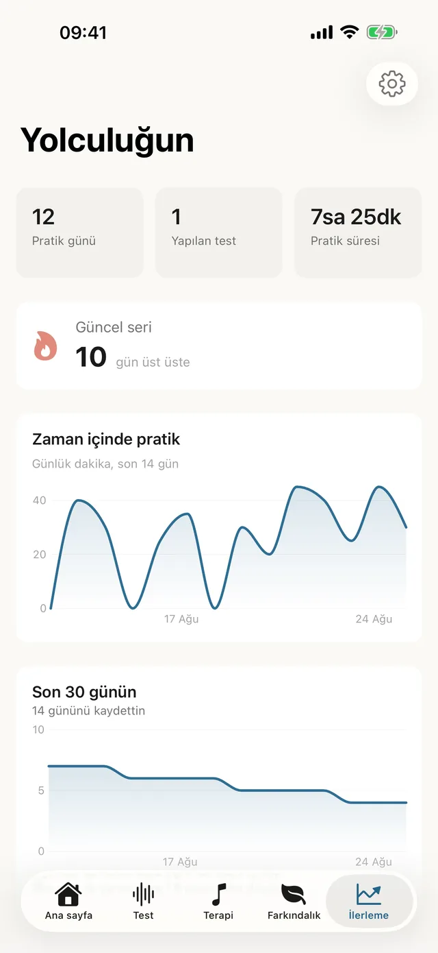 Tinnitus Haven — İçgörü